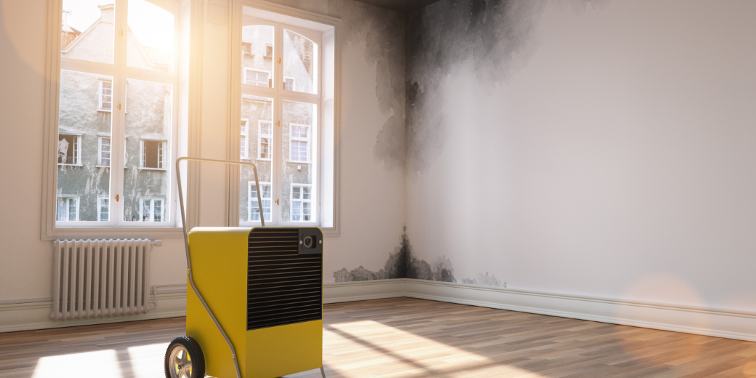 bautrockner-aufstellen