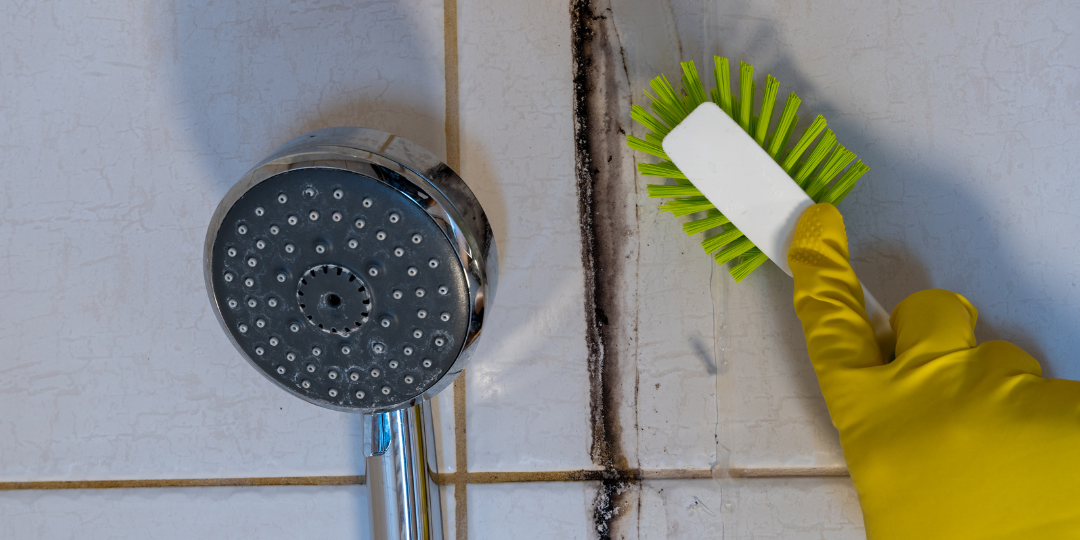 Schimmel im Badezimmer