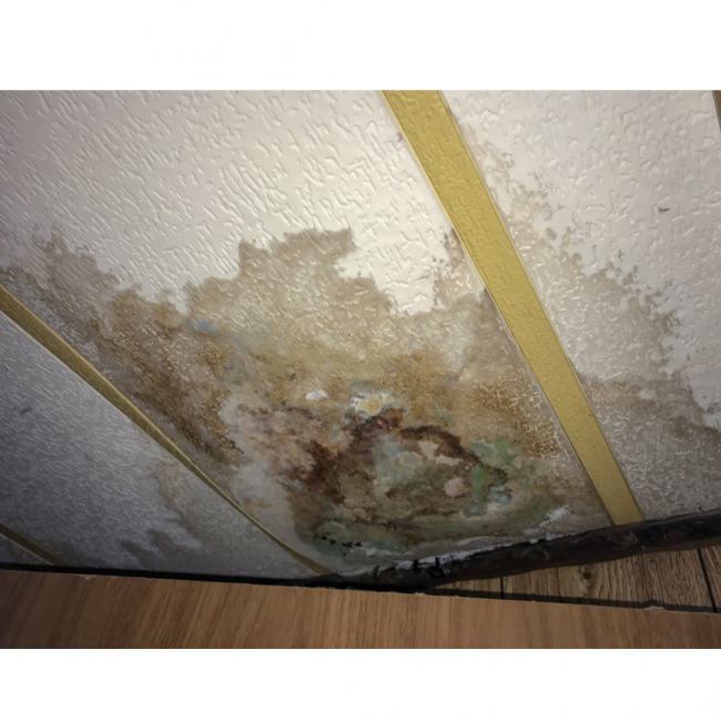 Leitungswasserschaden